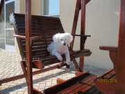 Wooden Classic Garden Swing - view 3