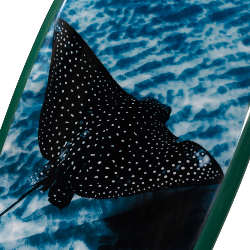 Flying Solo by Henry Bliss – Limited Edition Surfboard Art – view 4